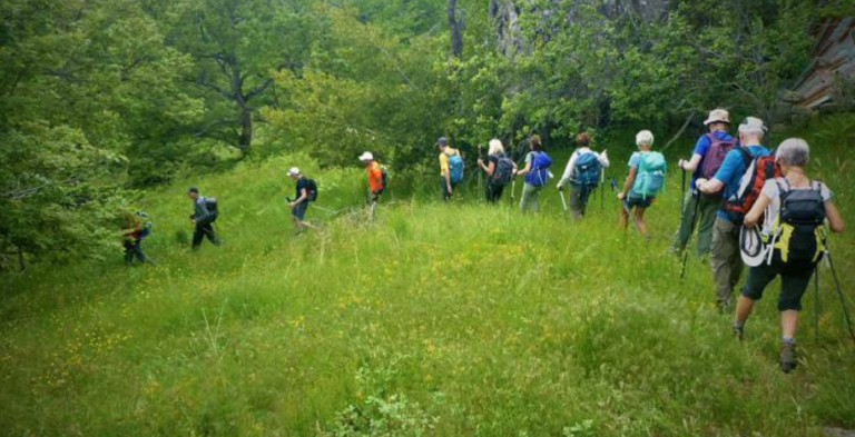 Les randos des 22, 29 juillet, 5, 12 et 19 août reprennent: